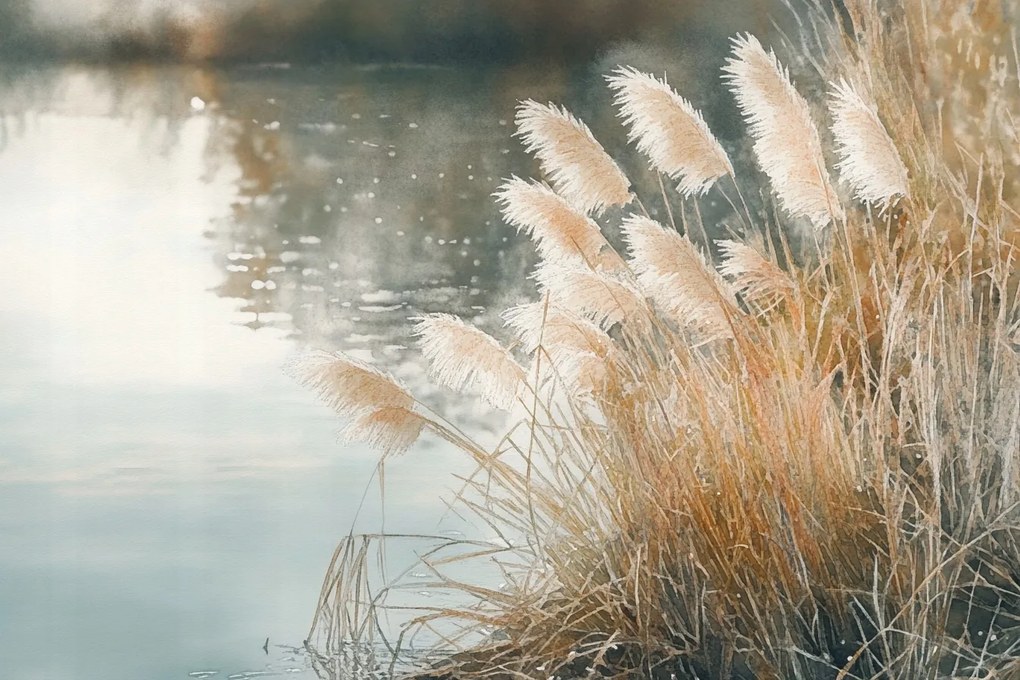 Vászonkép Canvas Tájkép Tó Nád Fű Köd Reggel 60x40