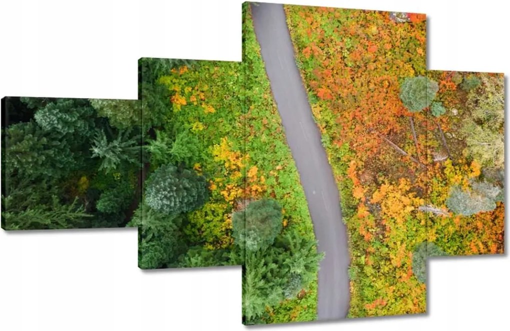 Vászonkép 130x80 Út Erdő Ősz