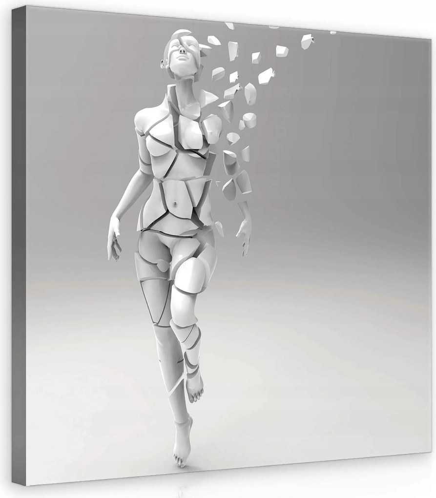 Vászonkép 40x40 Töredezettség Szétesés Transzformáció Nő Fehér Szürke Művészet