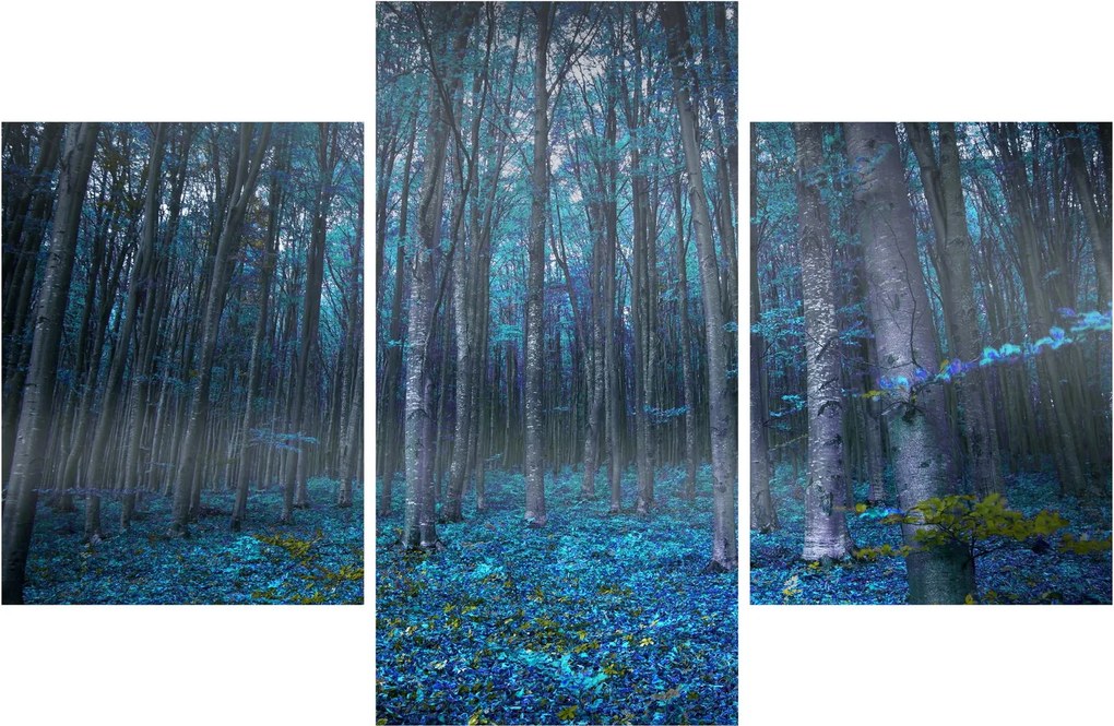 Kép - varázslatos erdő (90x60 cm)