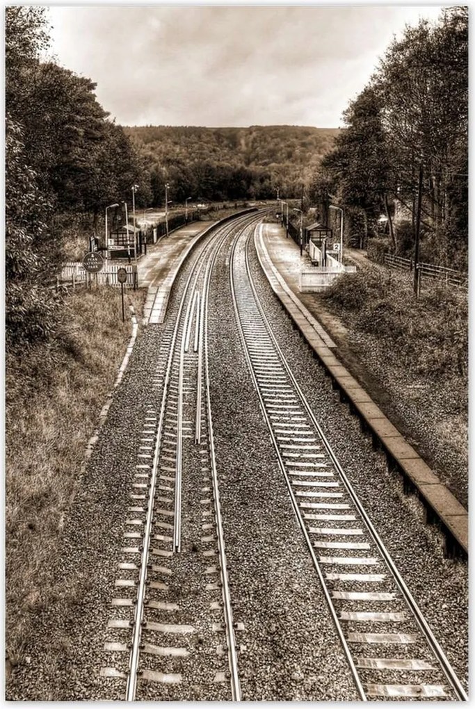 Poszterek 80x120 Tóra szépia fotó