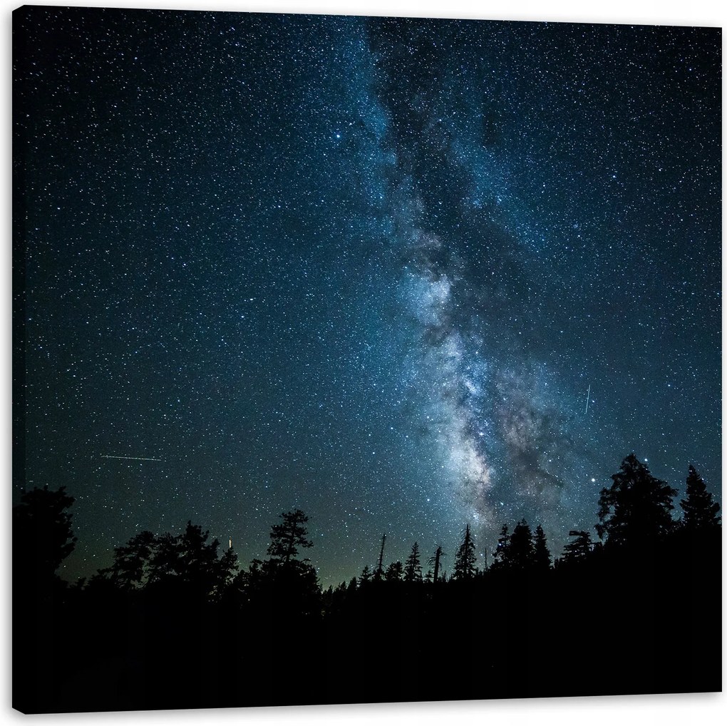 Vászonkép Kozmosz Éjszaka Erdő Köd Természet Csillagászat 60x60