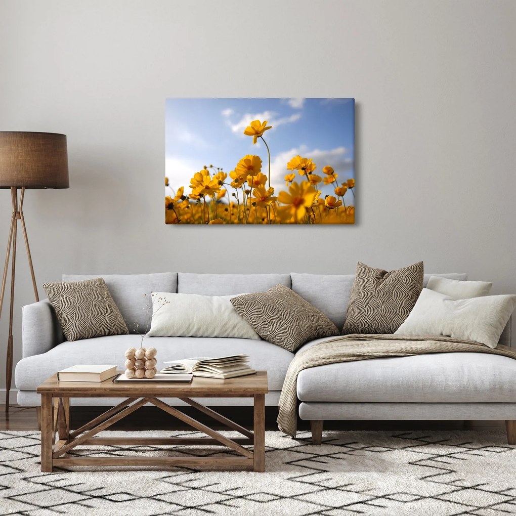 Fényes sárga virágokkal rendelkező mező képe (90x60 cm)