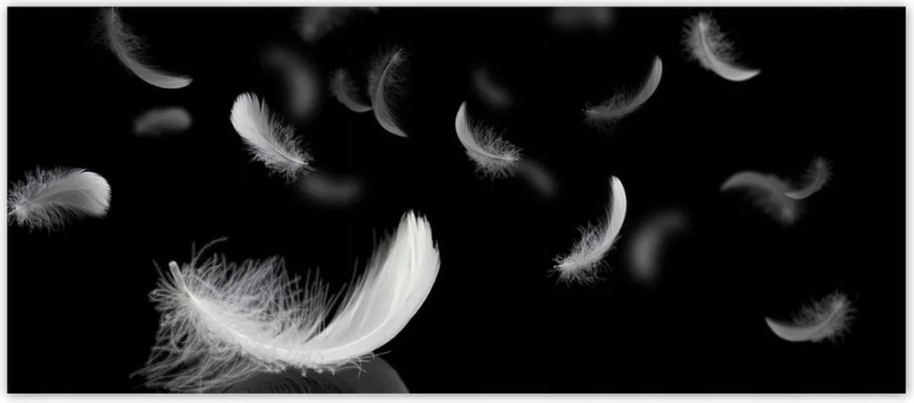 Fotótapéták 211x91 Hulló fehér tollak