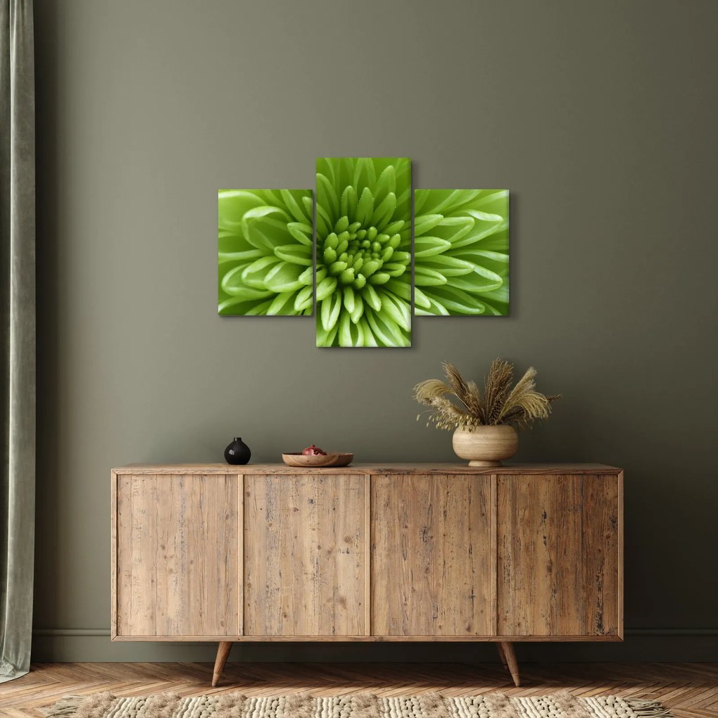 Kép - Makro kép egy növényről (90x60 cm)