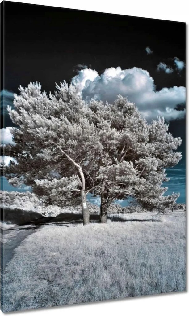 Festmények 70x100 Fa