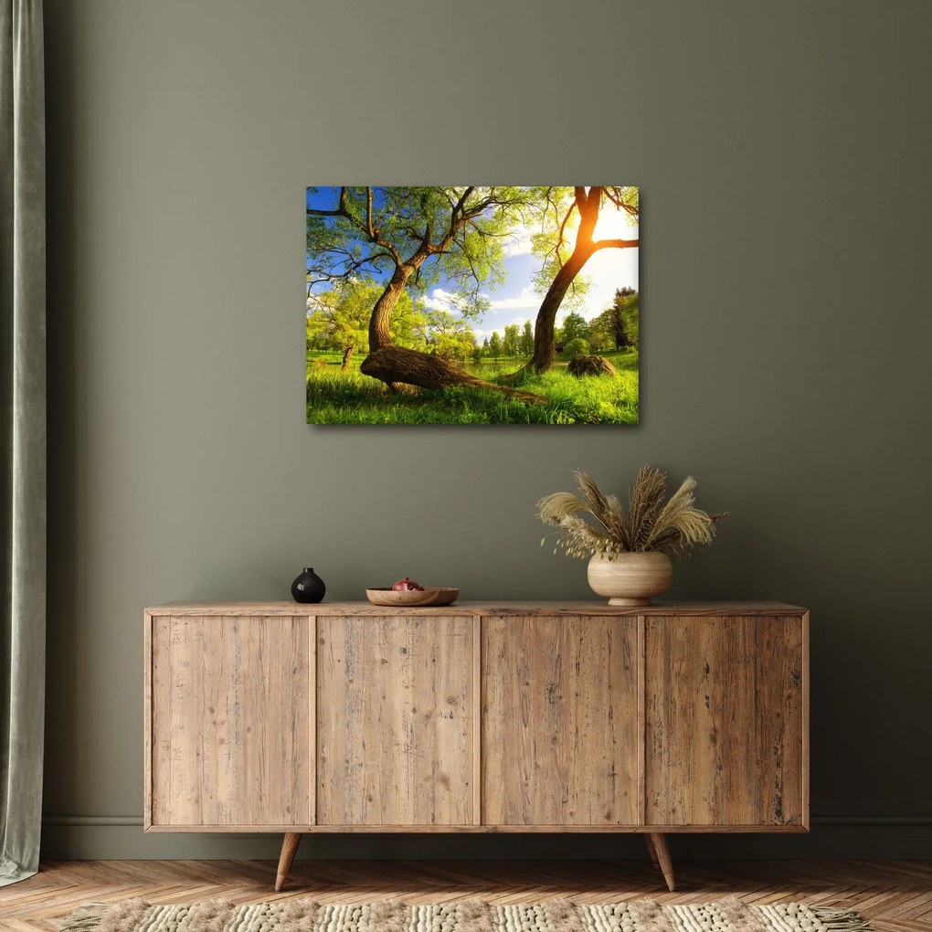 Kép egy tavaszi rétről (70x50 cm)