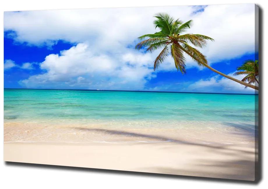 Feszített vászonkép Karibi tengerparton pl-oc-100x70-f-143577240