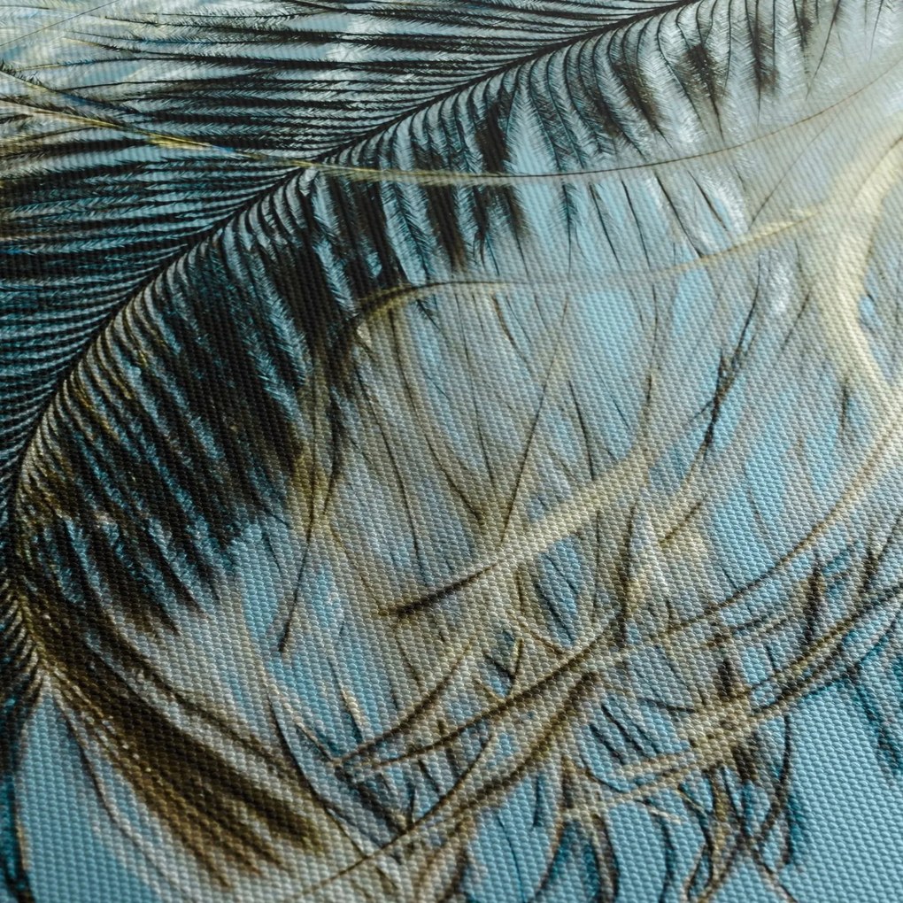 Tollas kép (150x105 cm)