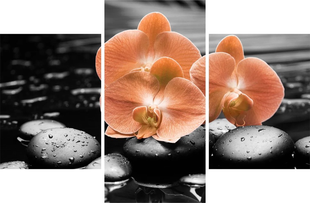 Kép - Narancssárga orchideák (90x60 cm)
