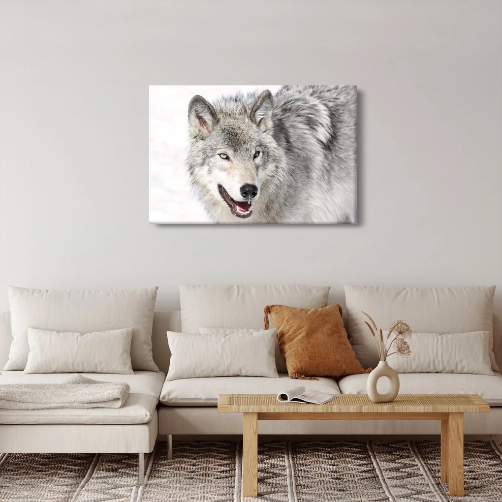 Kép - Farkas a természetben (90x60 cm)