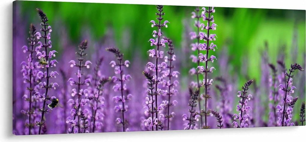 Lila mezei virágok képe (120x50 cm)