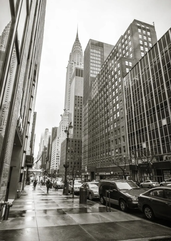 Poszter 67,5x95cm New York utca, Assaf Frank