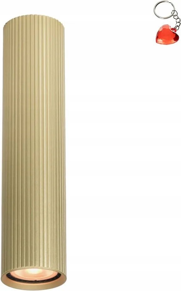 Falra szerelhető spot lámpatest Rilok CLN-83920-L-GD Italux