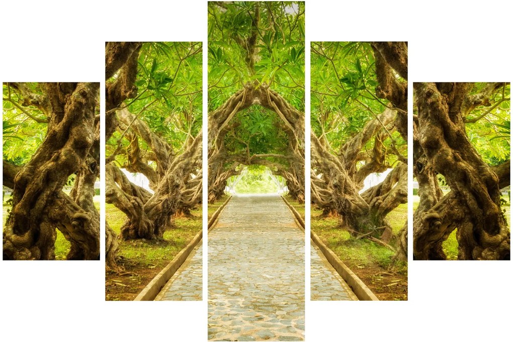 Kép - Plumeria élő alagútja (150x105 cm)