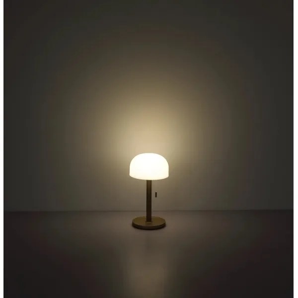 Globo 21016CH - NORMAN LED asztali lámpa 1,5W 3000-6000K barna