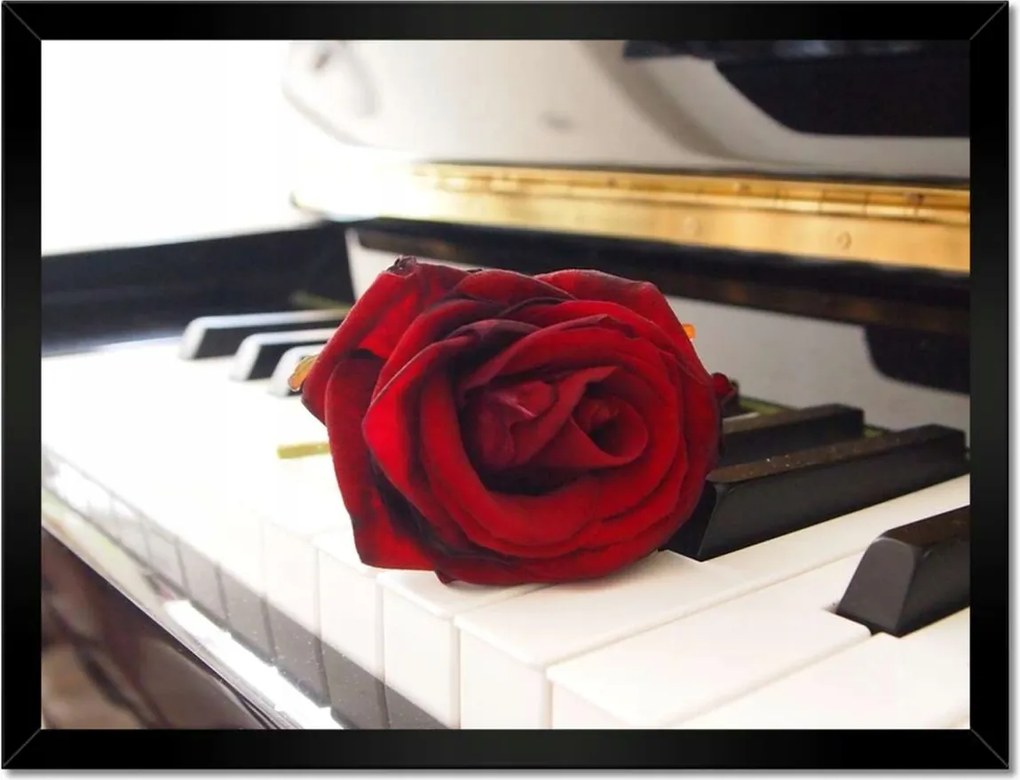 Poszterek keretben 40x30 Különböző zongora