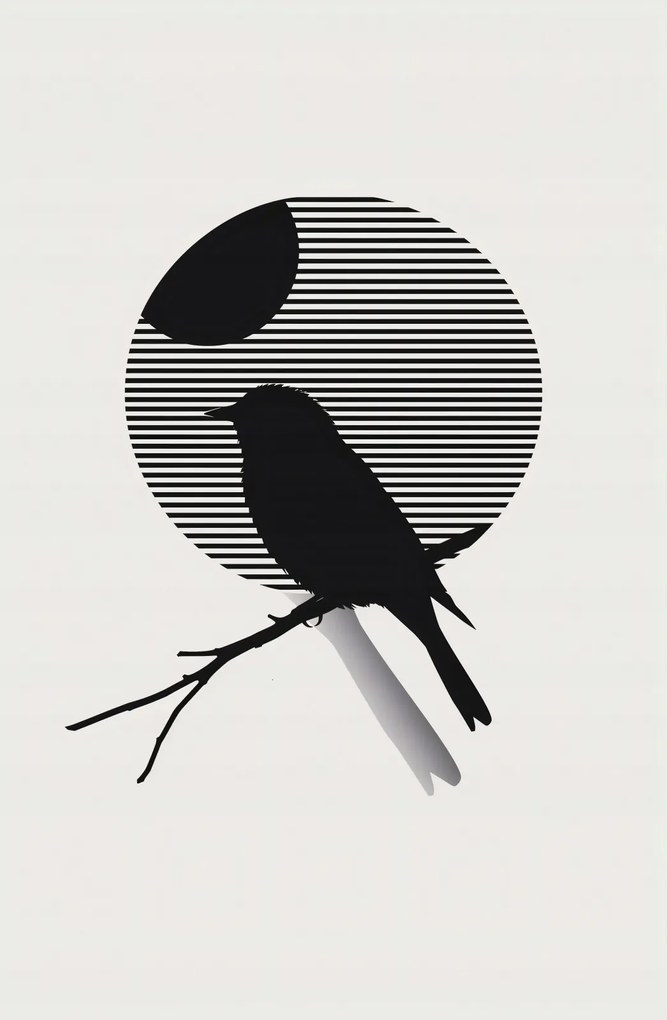 Poszter 53x81cm Kontraszt Karcsúság