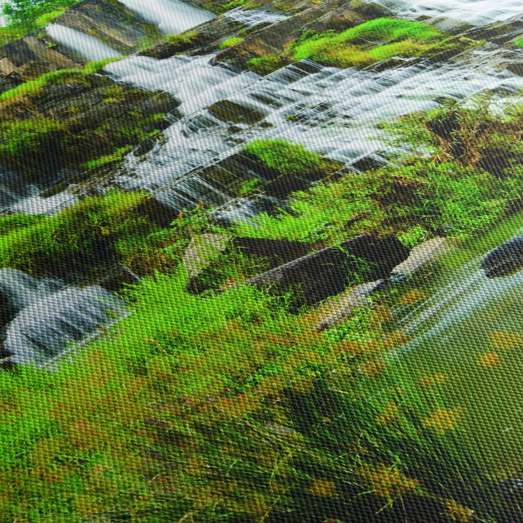 Kép - vízesés zöldövezetben (90x60 cm)