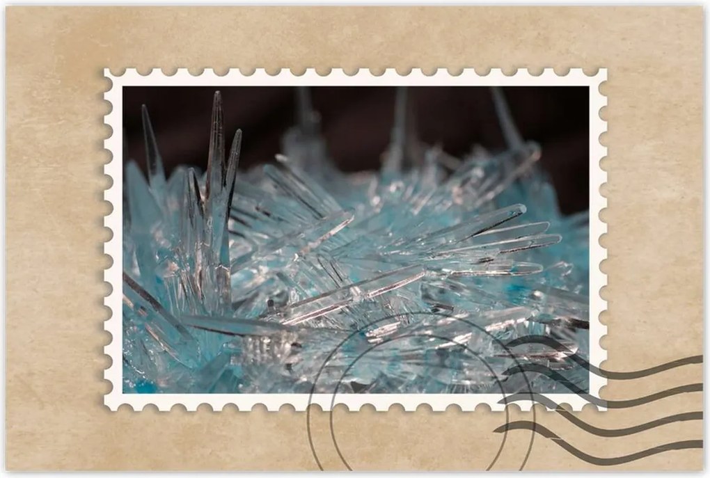 Poszterek 90x60 Makrofotó MacroFoto