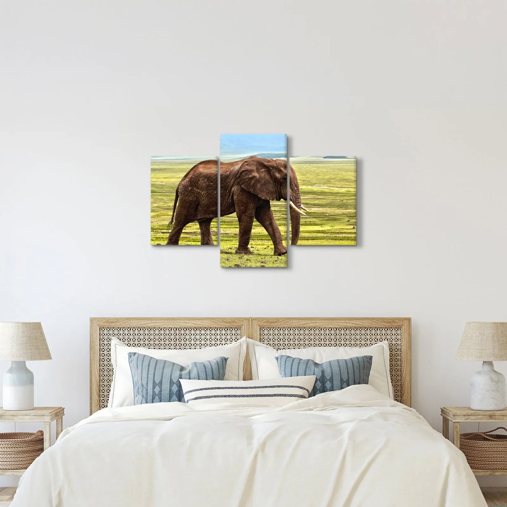Egy elefánt képe (90x60 cm)