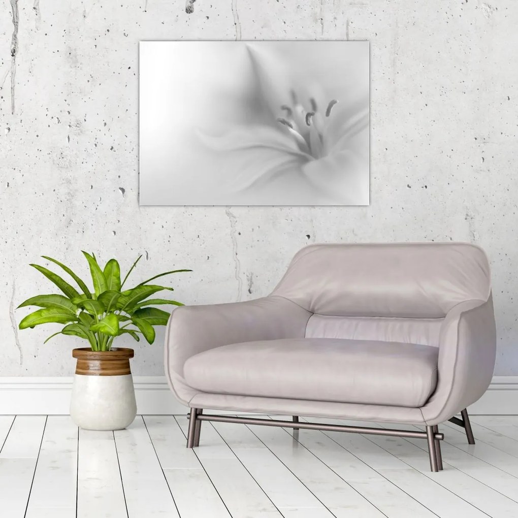 Kép - Delicate Lily (70x50 cm)
