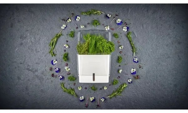 Cole&Mason - Tartály frissen vágott fűszernövények tárolására