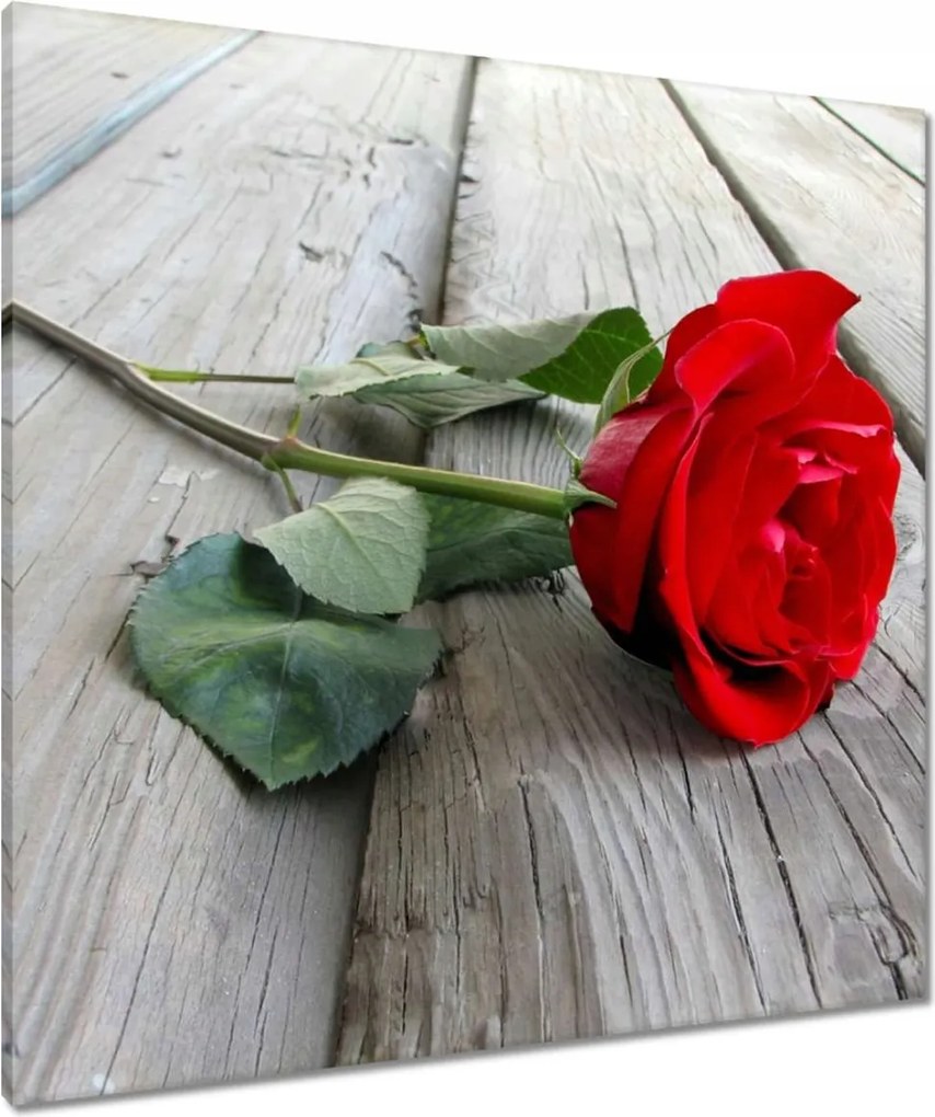 Vászonkép 80x80 Rózsa a deszkákon