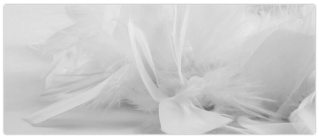Kép - Tollak (120x50 cm)