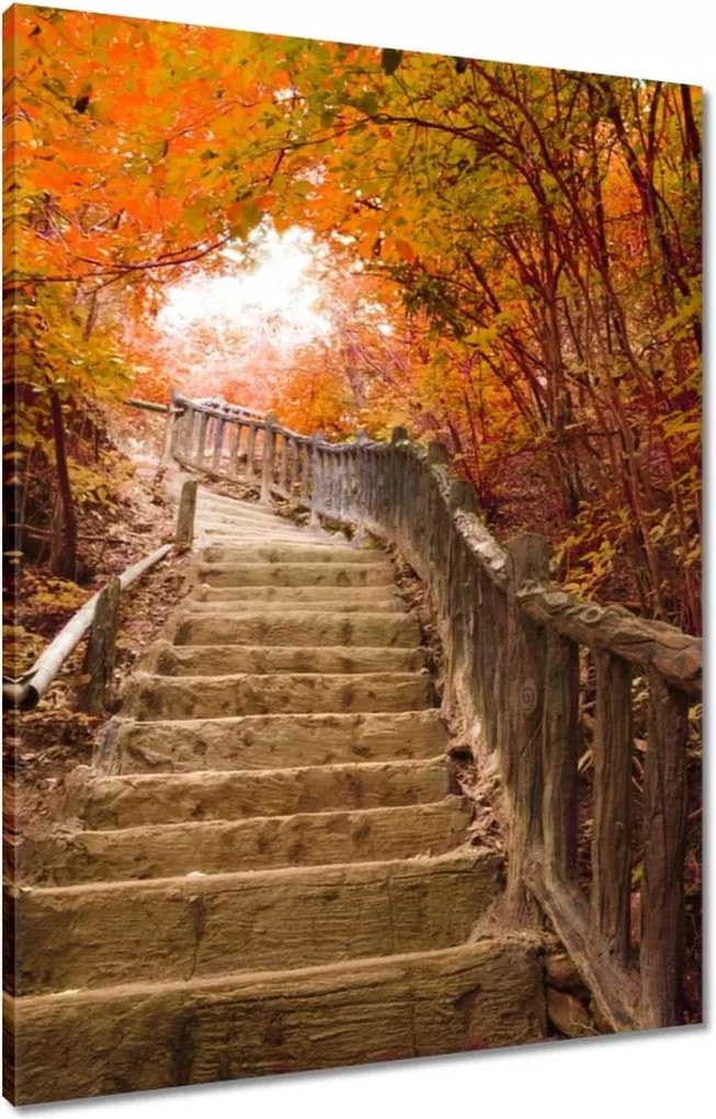Vászonkép 60x80 Őszi séta Lépcsők
