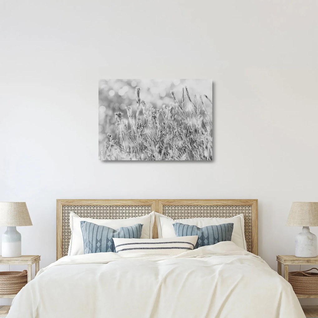Üveg kép - Hideg tél (70x50 cm)