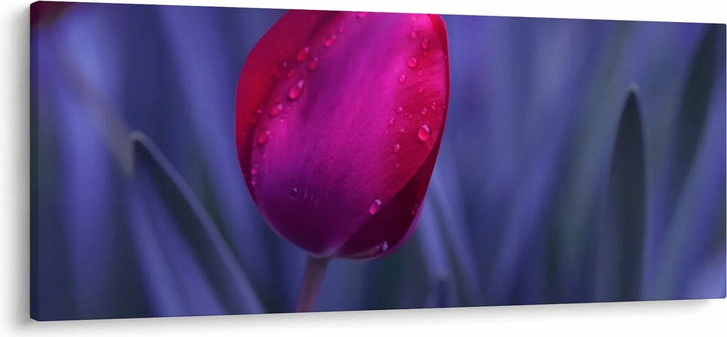 Tulipán bimbó képe (120x50 cm)