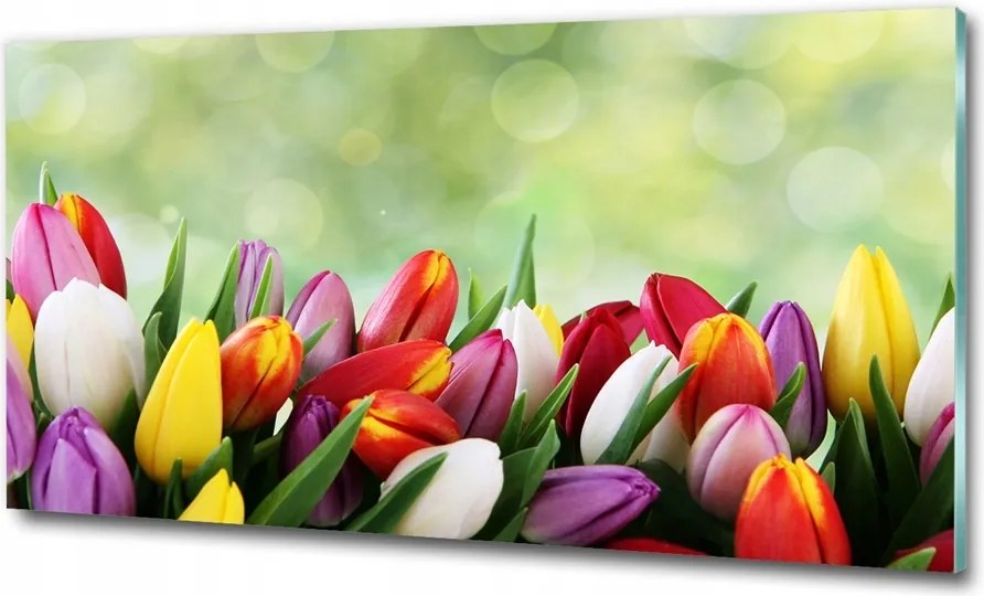 Fotó üvegkép Orchideák kövek 125x50