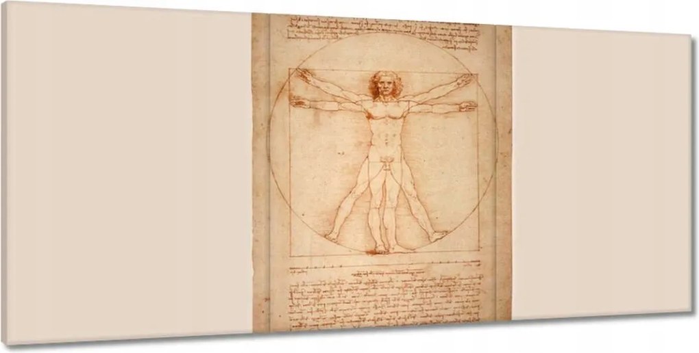 Festmények 210x100 A vitruviusi ember