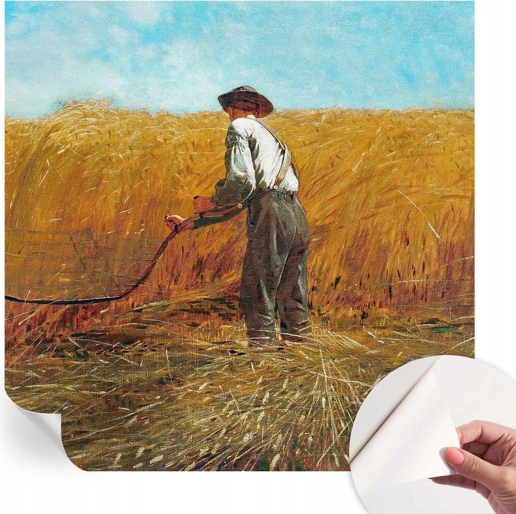 Modern öntapadós fotótapéta falra Szüret a napsütésben 250x250 cm