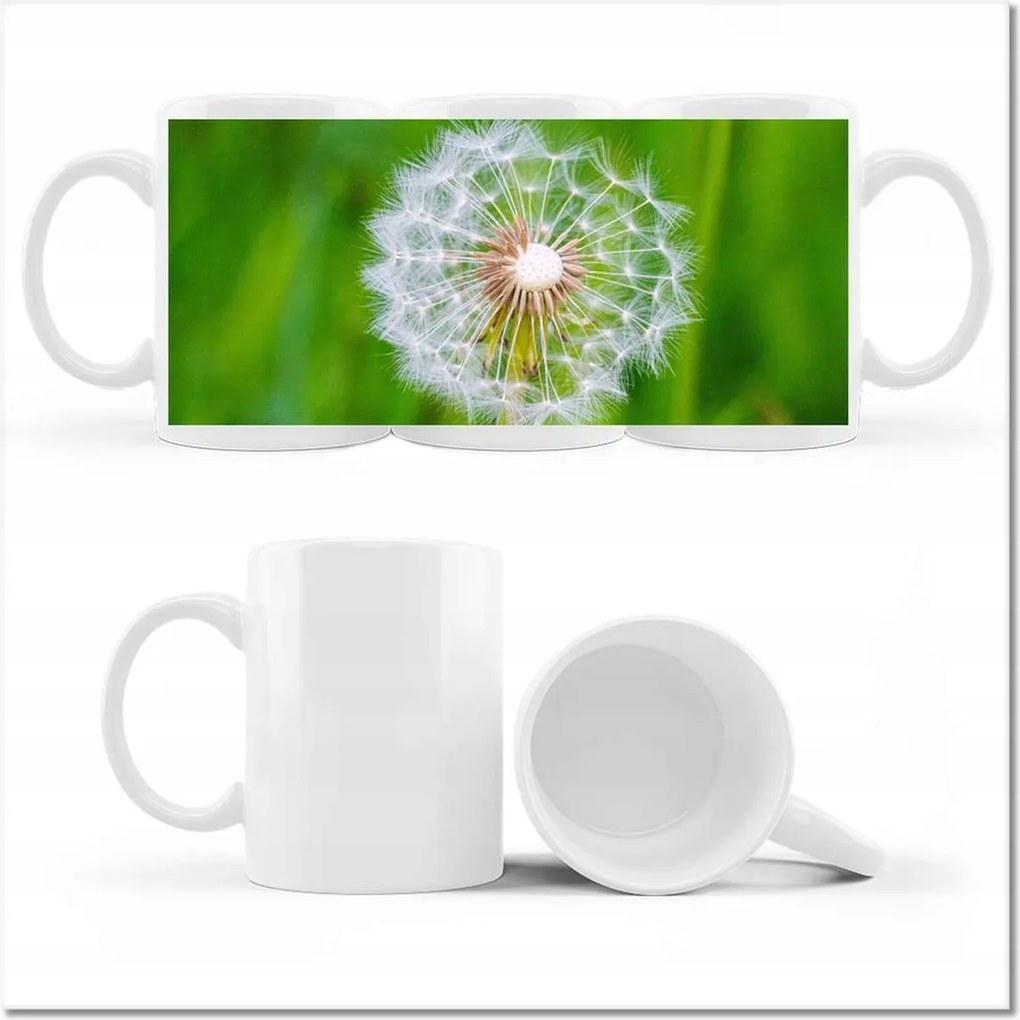 Pitypang fényképes bögre Virág Virágok