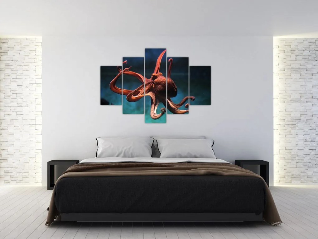 Kép - Octopus (150x105 cm)