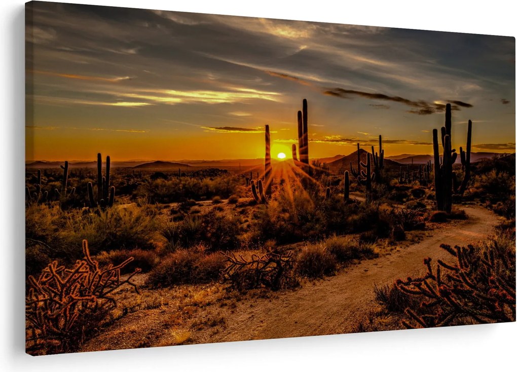 Kép - A nap vége az arizonai sivatagban (90x60 cm)