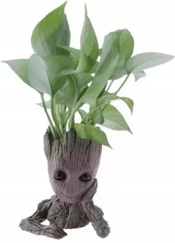 Zaparkorun Groot alakú kaspó