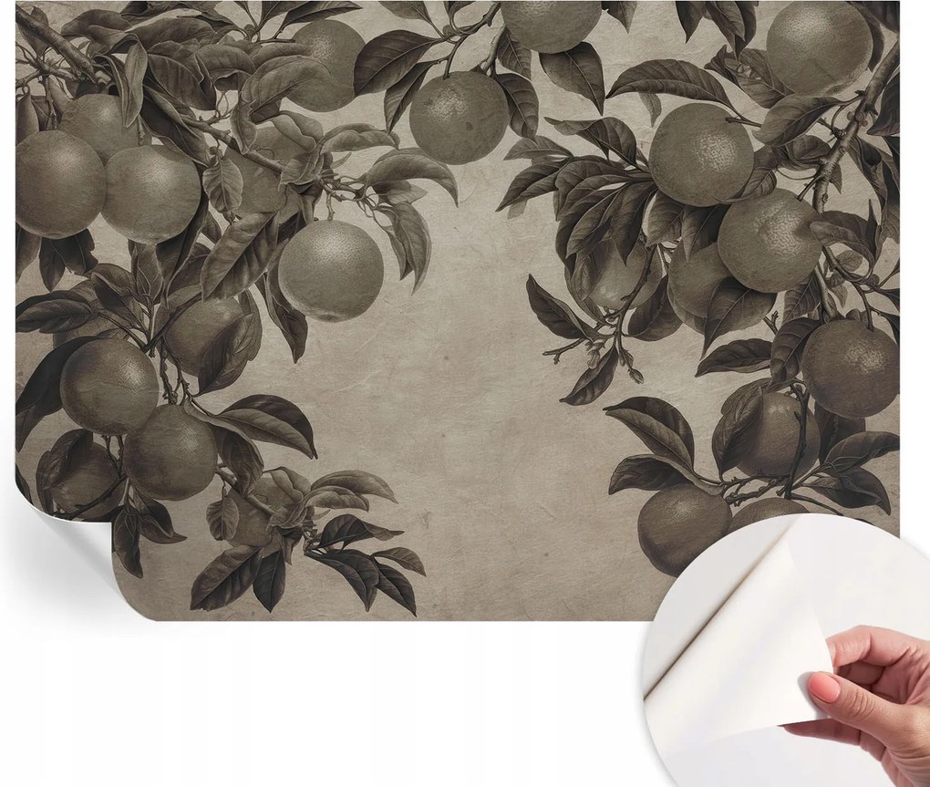 Öntapadós Dekoratív Fotótapéta Hálószobába Gyümölcsös minta 312x219 cm