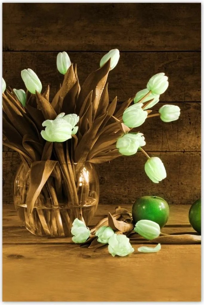 Poszterek 80x120 Szépia tulipánok