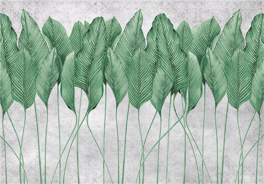 Fotótapéta Levelek Botanika Zöld hálószoba nappali 250x175 +ragasztó