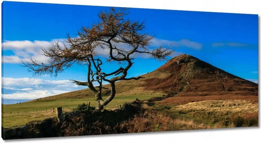 Vászonkép 115x55 Elpusztíthatatlan fa