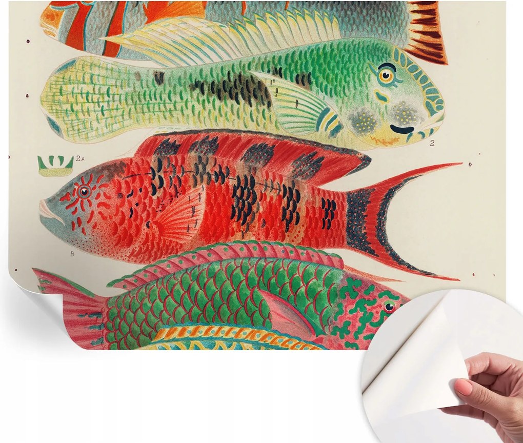 Modern öntapadós fali fotótapéta Egzotikus halak 208x146 cm
