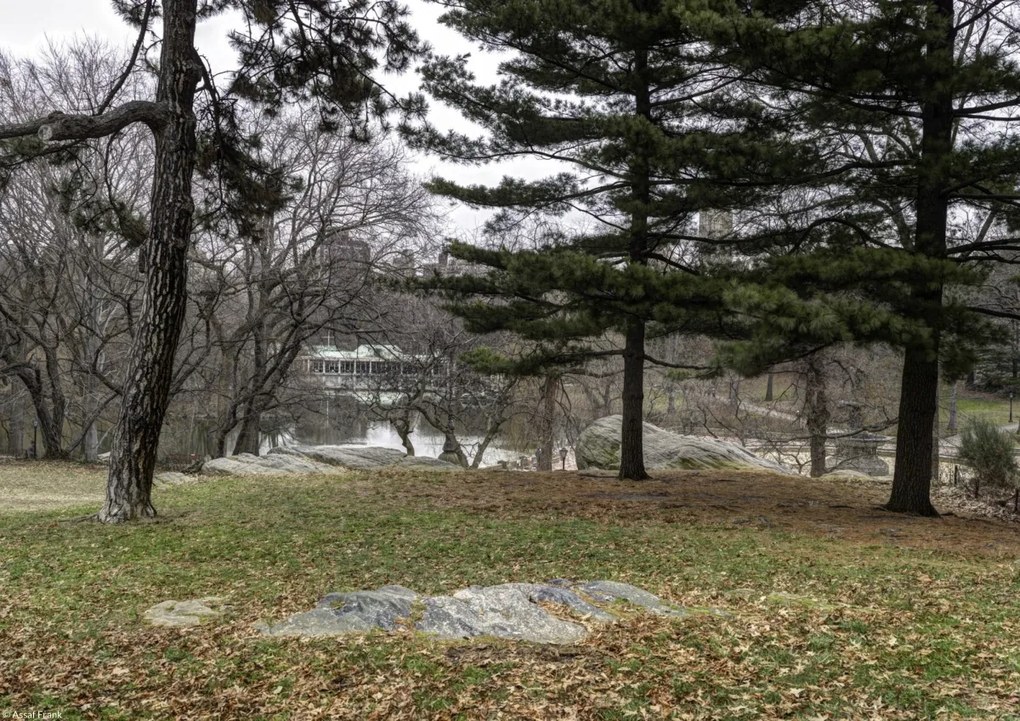 Poszter 29,7x21cm Central Park, New York, Assaf Frank