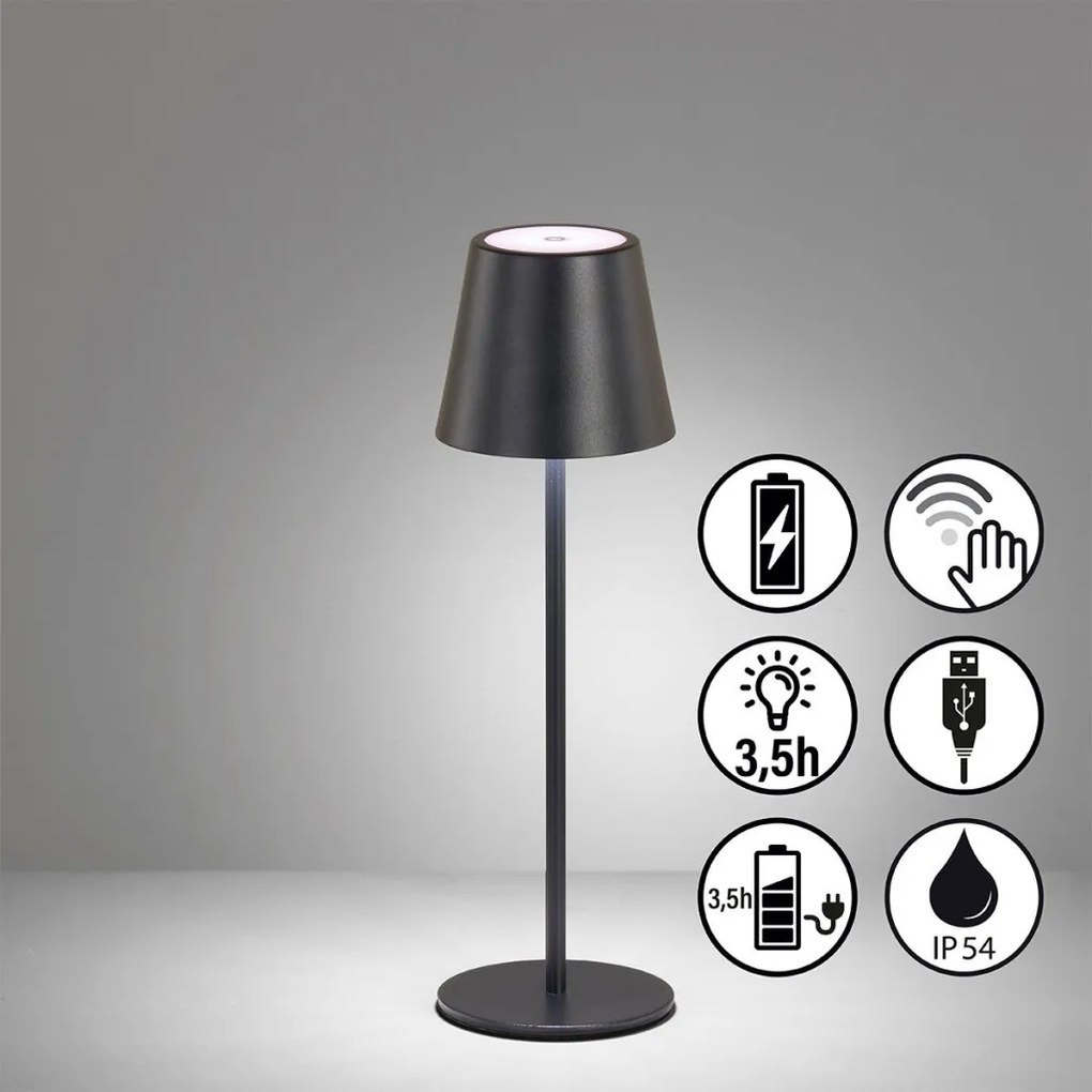 FISHER&HONSEL 850355 VILETTO Kültéri Dekorációs Lámpa LED IP54
