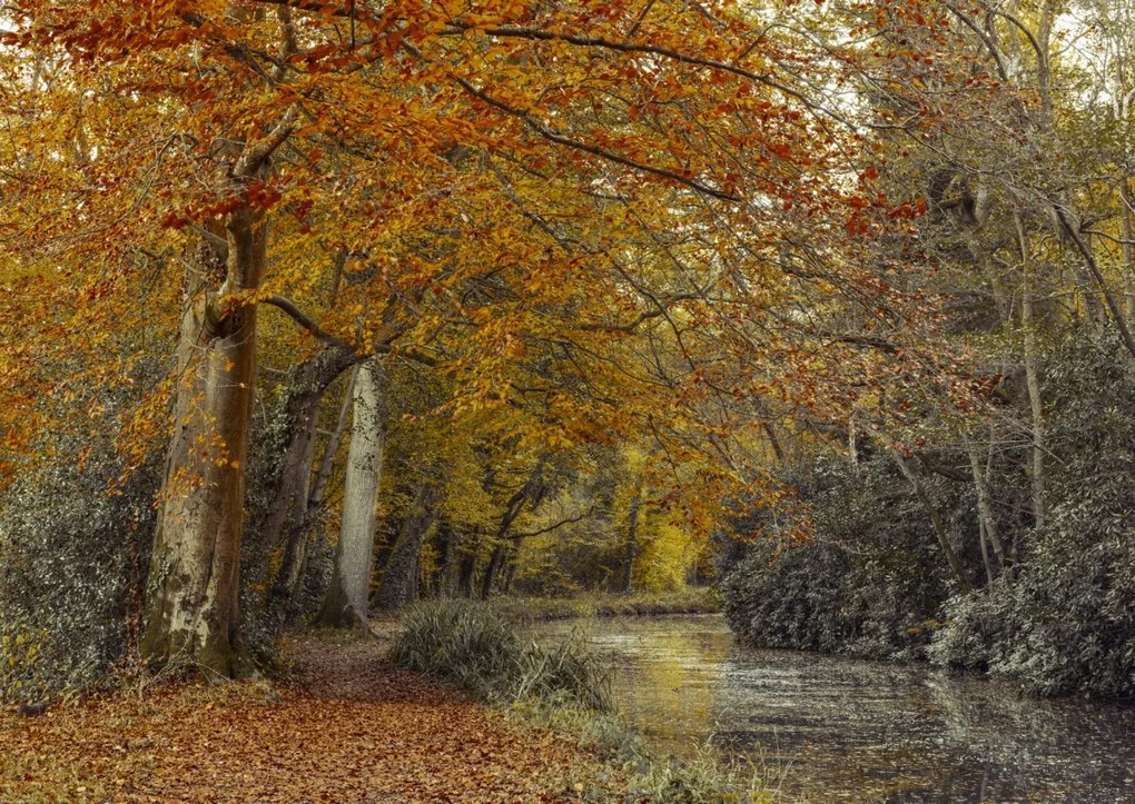 Poszter 84x59,5cm Ösvény a csatornánál, Assaf Frank