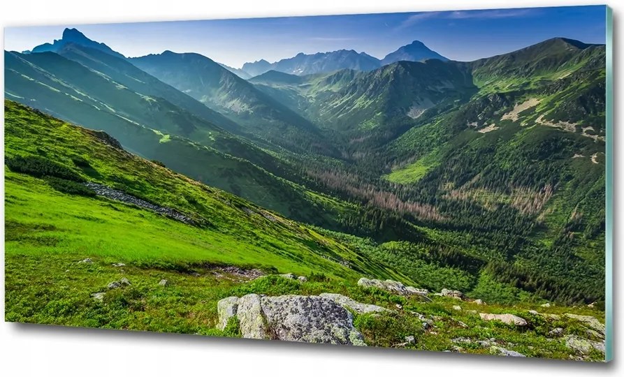 Fotótapéta üvegfalra Zöld dombok 125x50