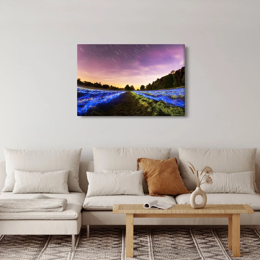Színes mező képe (90x60 cm)