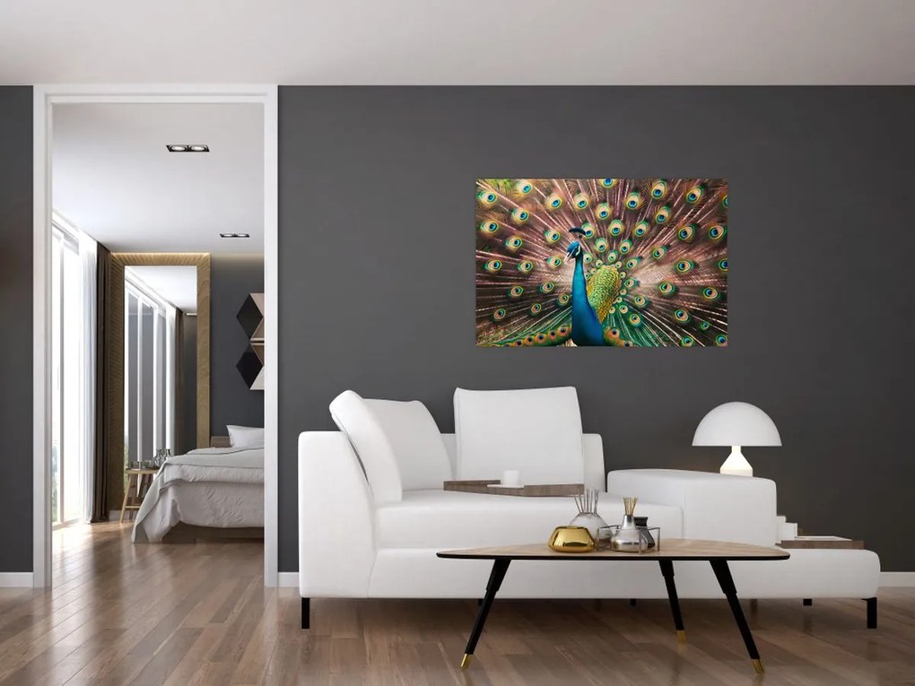 Kép - Páva (90x60 cm)